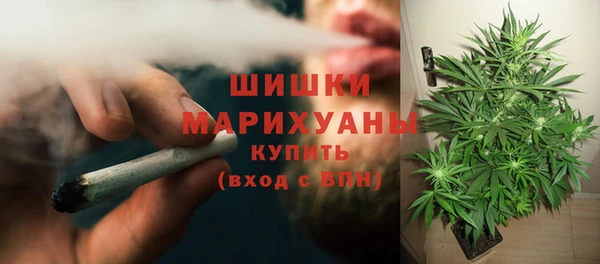 трава Абаза