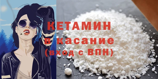 трава Абаза