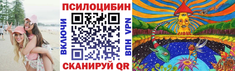 Галлюциногенные грибы Psilocybe  наркотики  Вологда 