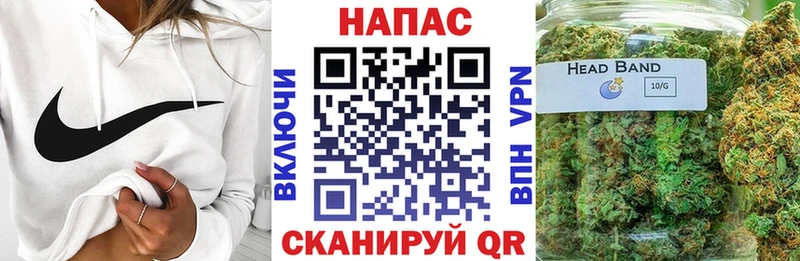 магазин продажи наркотиков  Вологда  Шишки марихуана MAZAR 